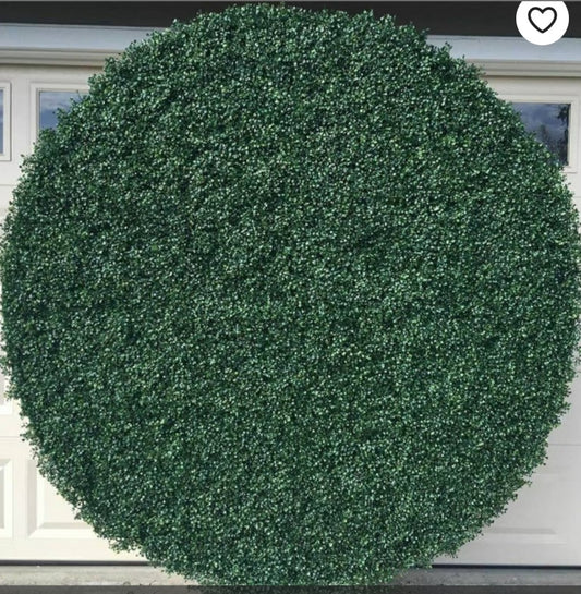Round Green Boxwood Grass Wall